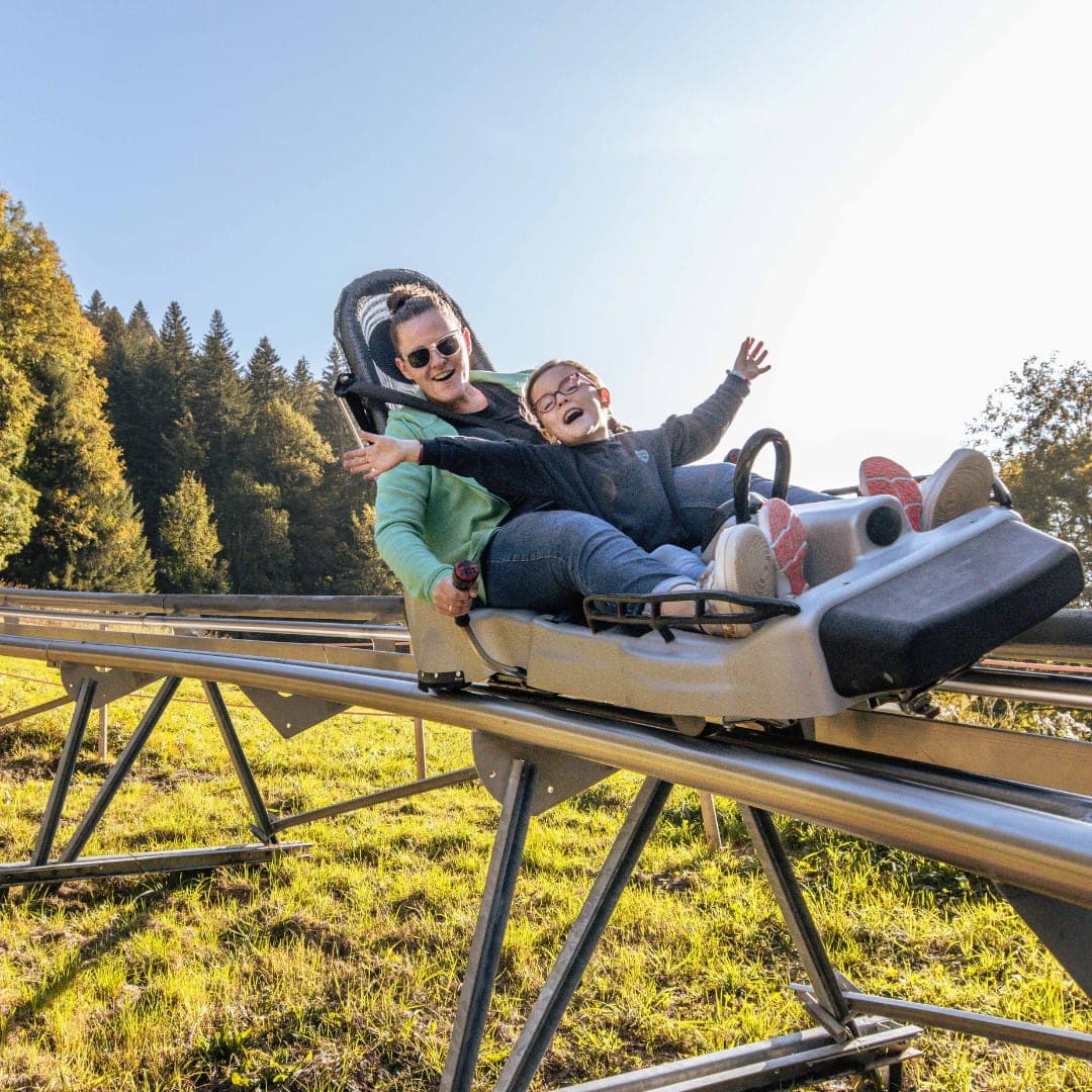 Luge d'été